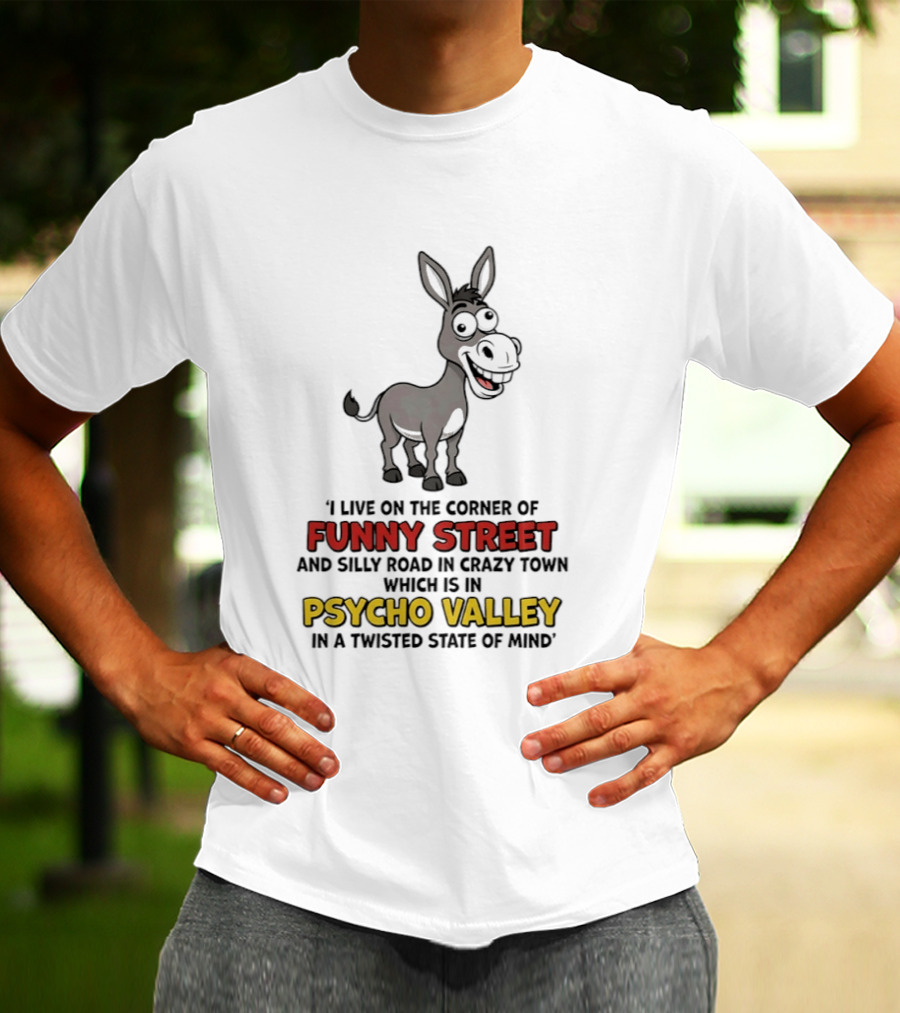 Donkey I Live On The Corner Of Funny Street And Silly Road In Crazy Town Psycho Valley In A Twisted State Of Mind T-Shirt