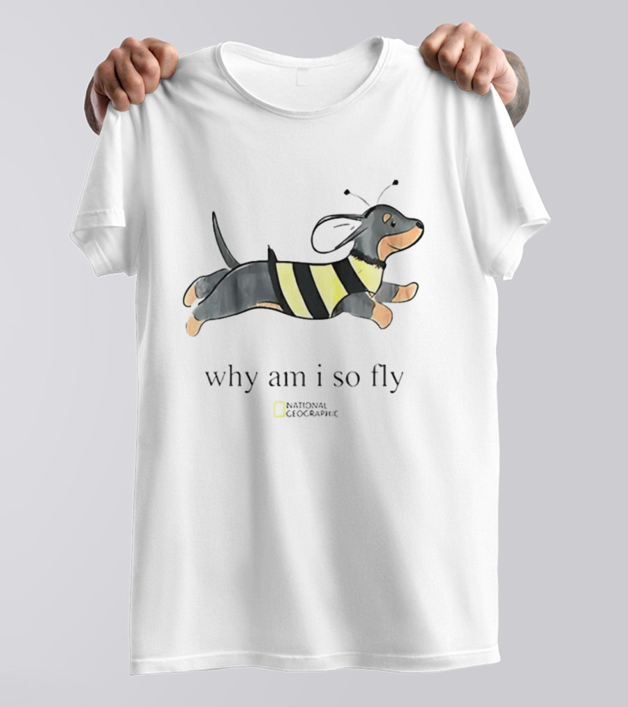 Why Am I So Fly Dachshund Bee National Geographic T-Shirt