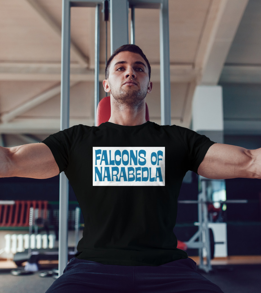Falcons Of Narabedla Roger Zelazny Science Fiction T-Shirt