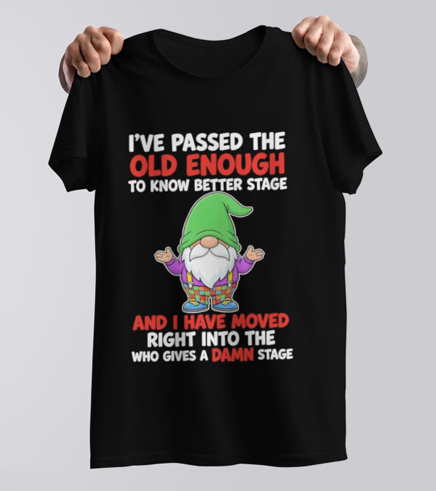 I've Passed The Old Enough To Know Better Gnome And Moved Into Who Gives A Damn Stage T-Shirt