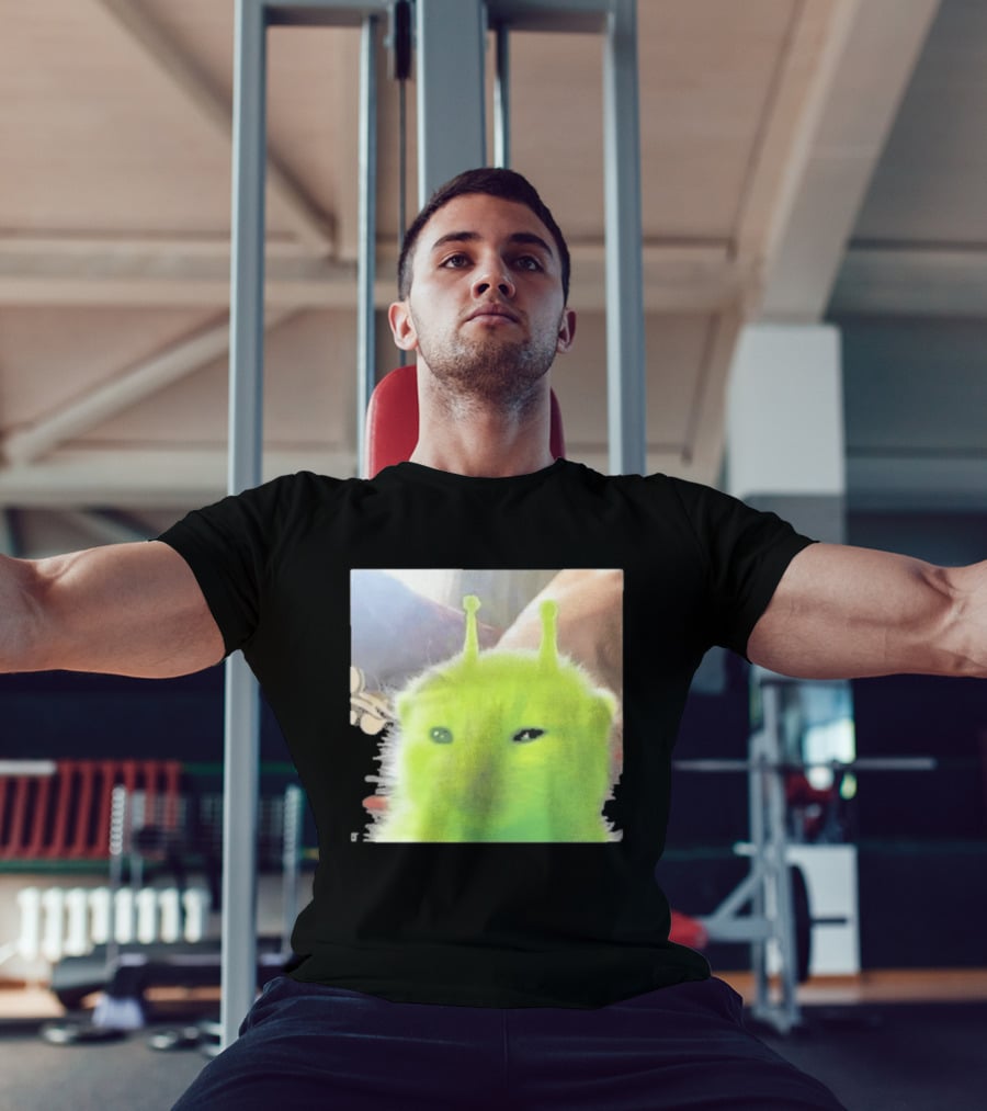 Glorp Alien Cat Winking Whimsical Green Feline With Antennae T-Shirt