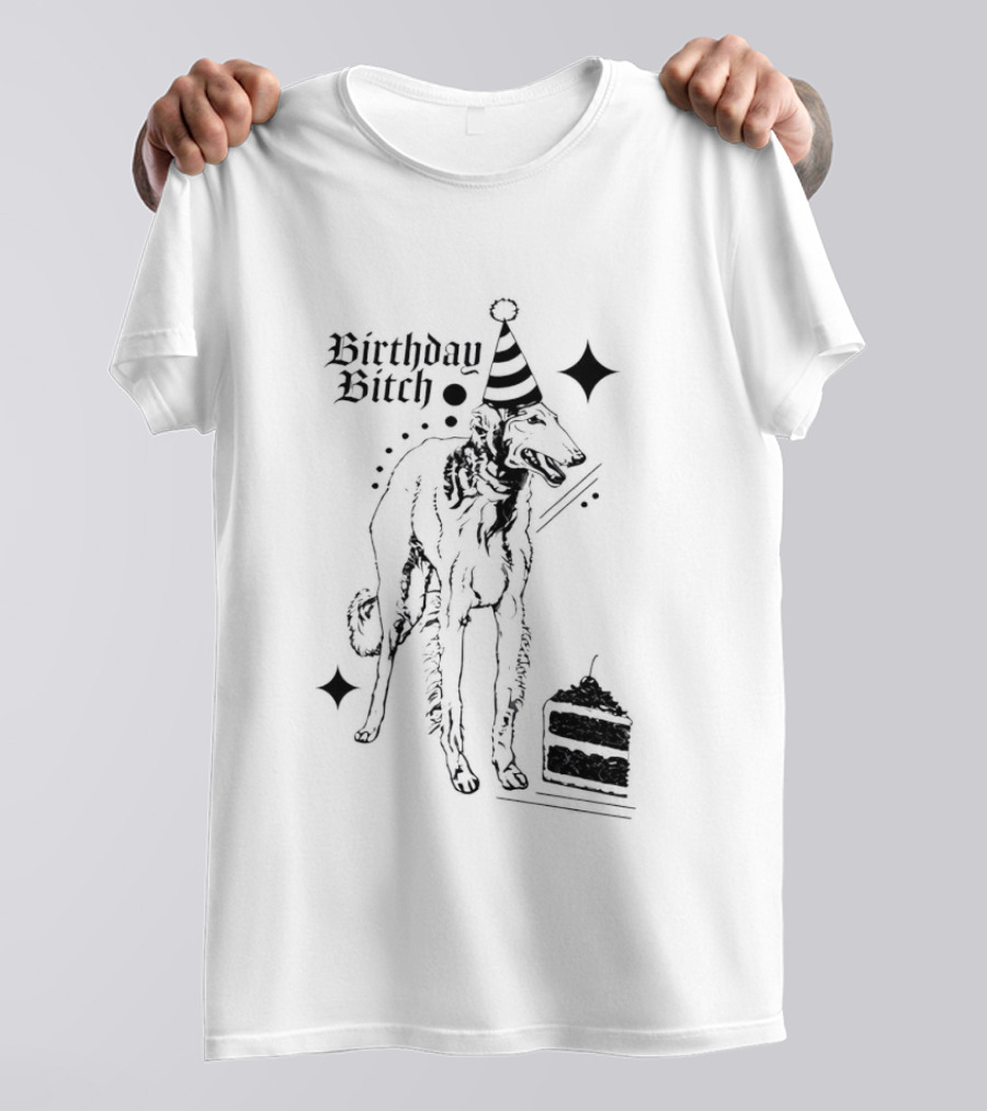 Birthday Bitch Dog Party Hat Cake Celebration Fun T-Shirt