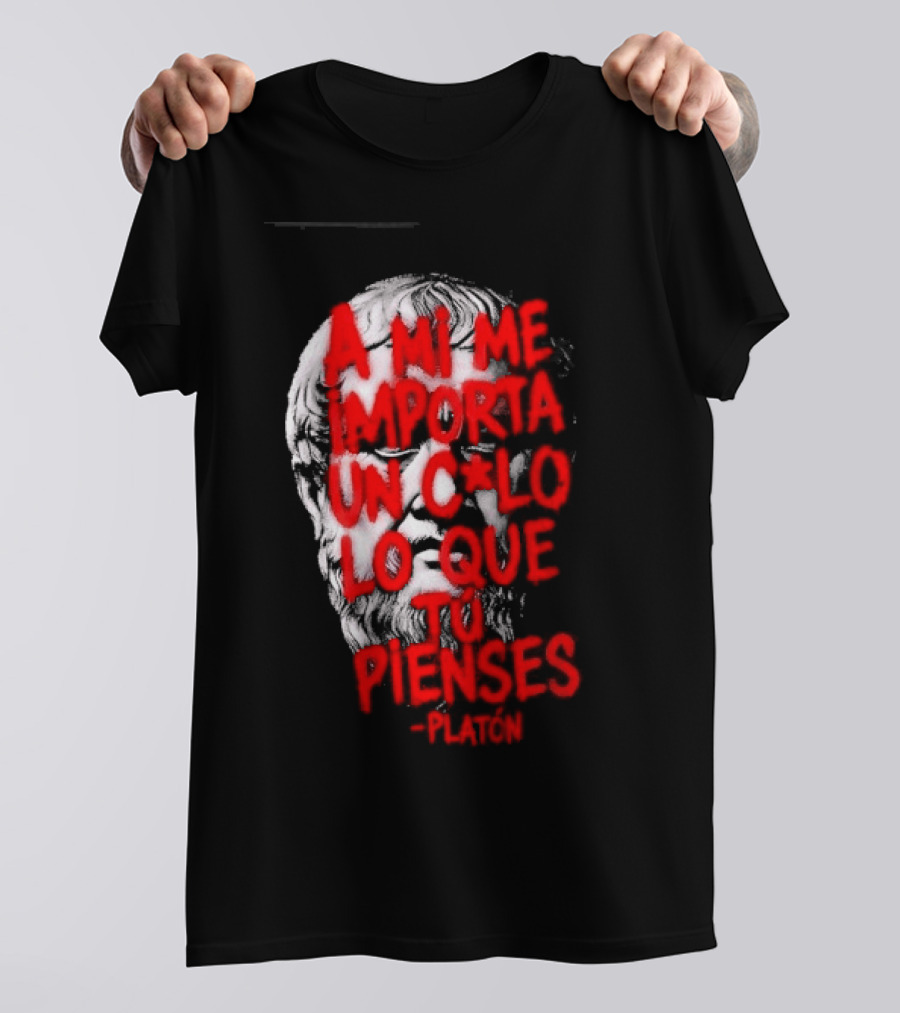 A Mi Me Importa Un Culo Lo Que Tu Pienses Platón Skull T-Shirt