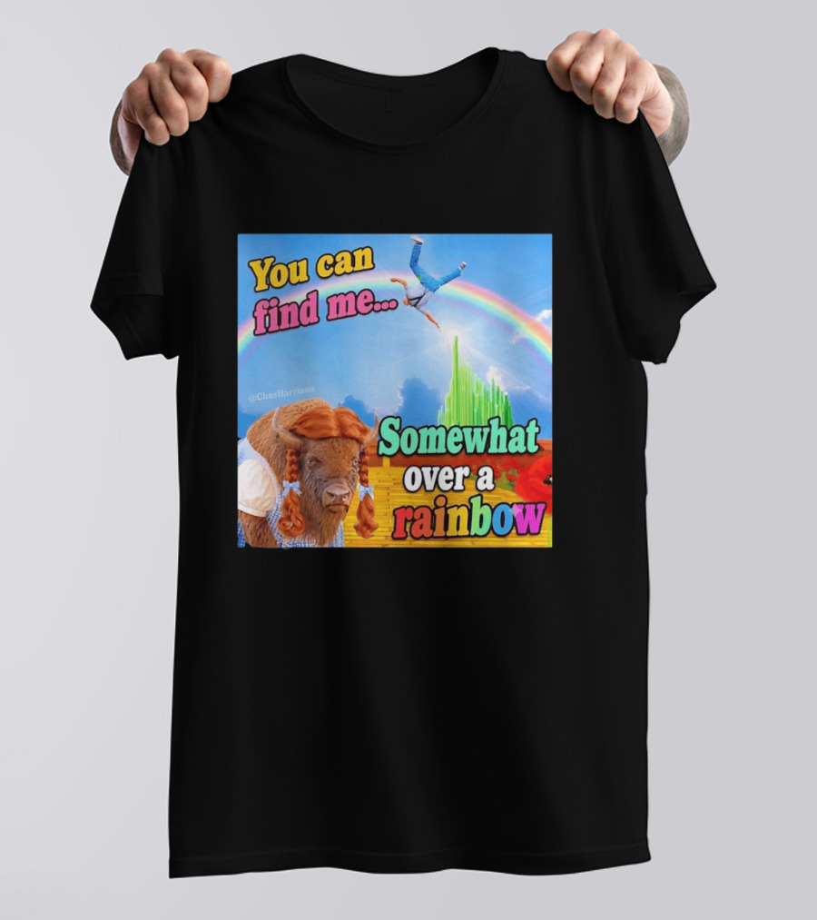 You Can Find Me Somewhat Over A Rainbow Bison Meme T-Shirt