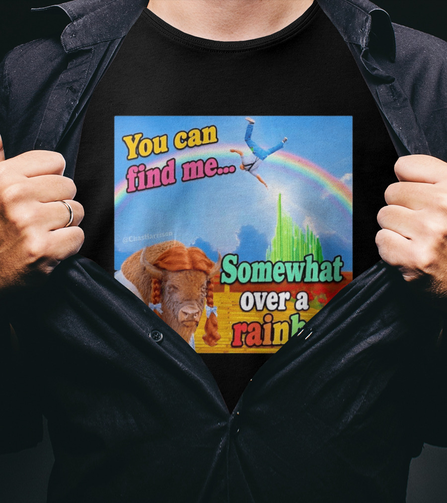 You Can Find Me Somewhat Over A Rainbow Bison Meme T-Shirt