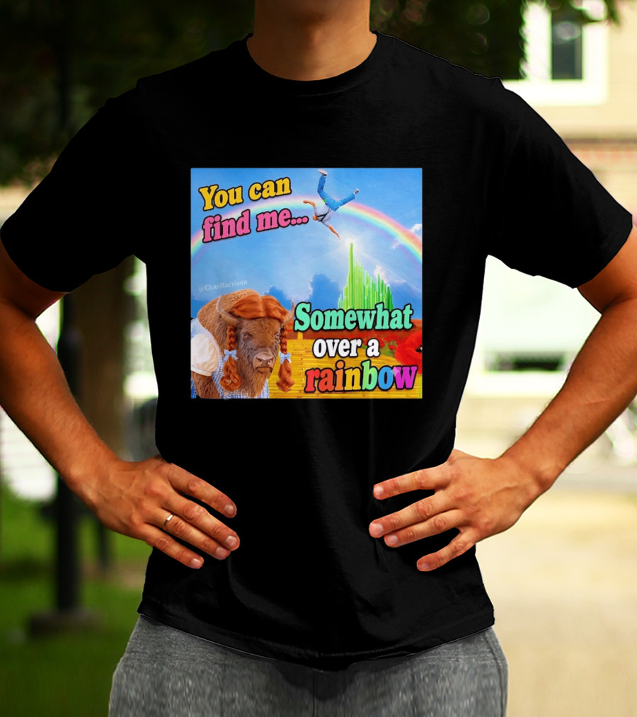 You Can Find Me Somewhat Over A Rainbow Bison Meme T-Shirt