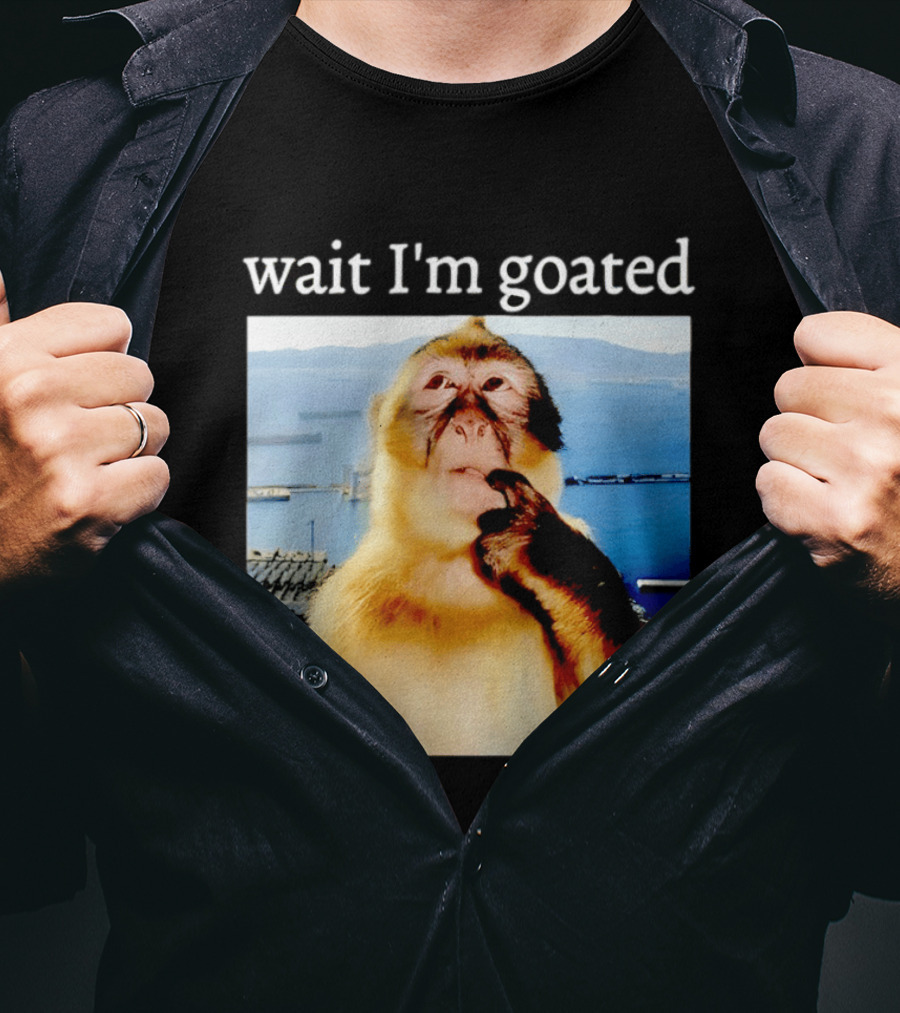 Wait I'm Goated Monkey Meme Coastal View Playful Expression T-Shirt