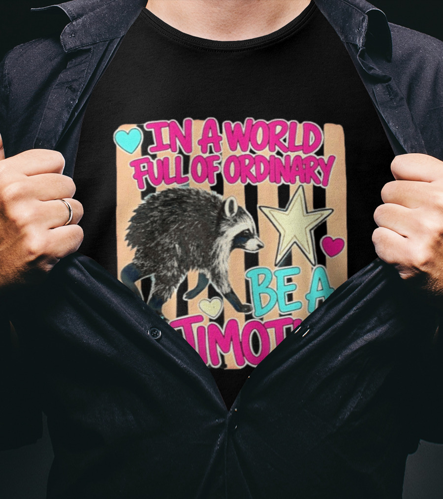 In A World Full Of Ordinary Be A Jimothy Raccoon With Stars And Hearts T-Shirt