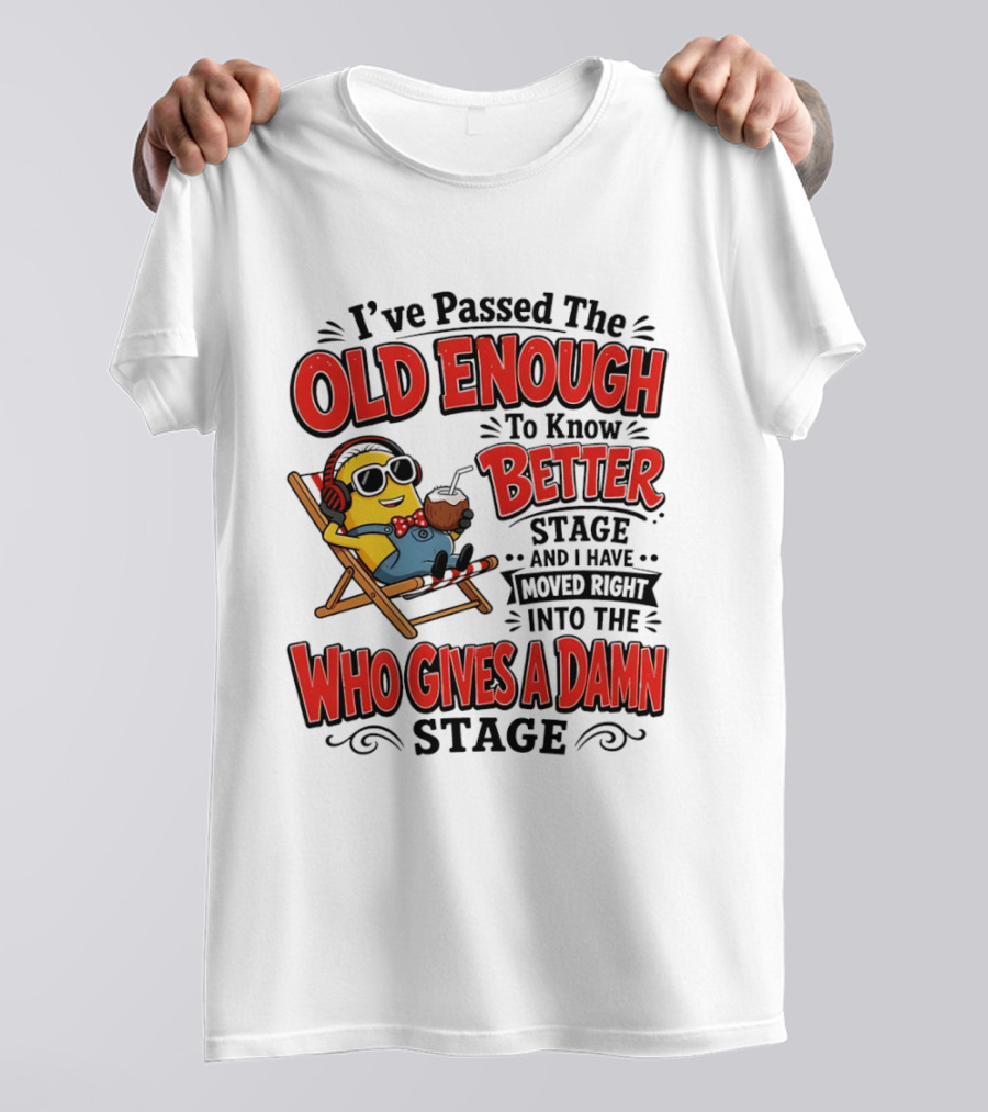 Minion I've Passed The Old Enough To Know Better Stage Who Gives A Damn Stage T-Shirt