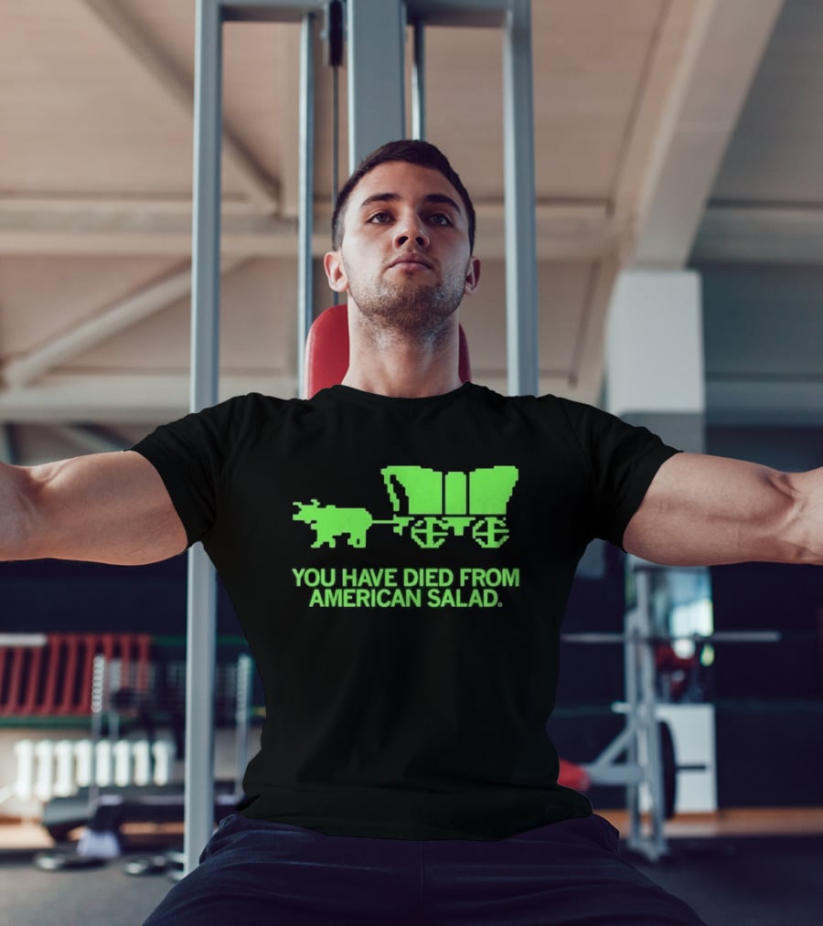 You Have Died From American Salad Ox Cart Retro Gaming Spoof T-Shirt