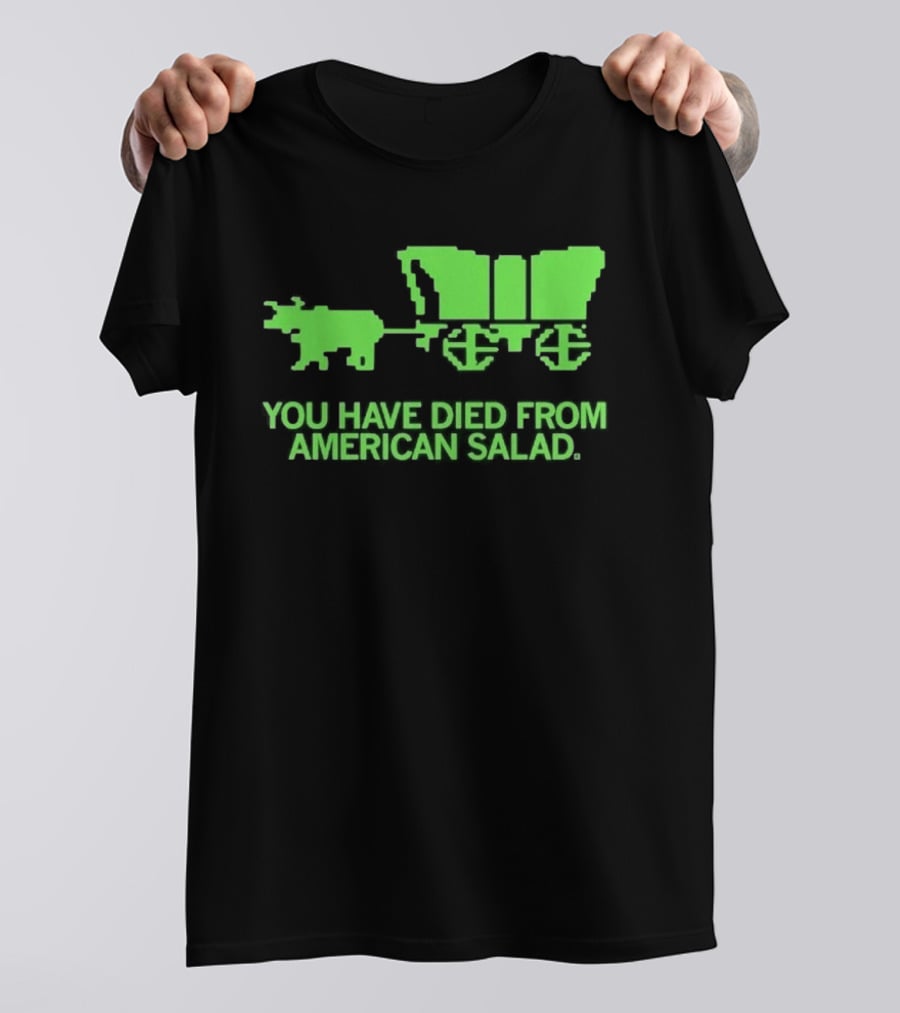 You Have Died From American Salad Ox Cart Retro Gaming Spoof T-Shirt