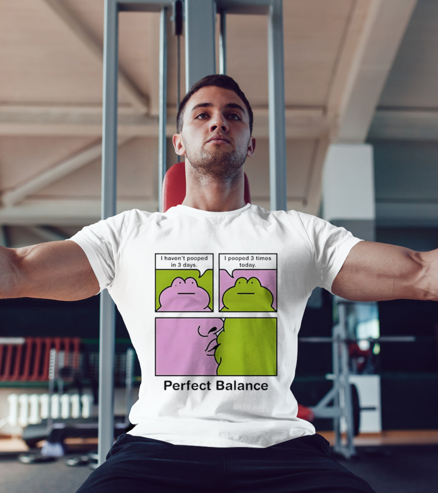 Perfect Balance Frog Meme I Haven't Pooped In 3 Days Pooped 3 Times Today T-Shirt