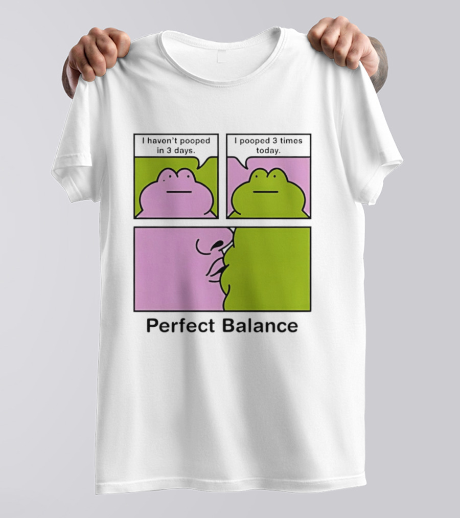 Perfect Balance Frog Meme I Haven't Pooped In 3 Days Pooped 3 Times Today T-Shirt