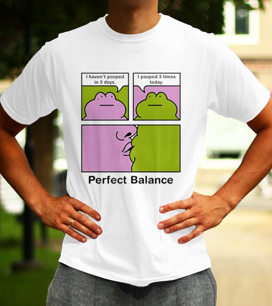 Perfect Balance Frog Meme I Haven't Pooped In 3 Days Pooped 3 Times Today T-Shirt
