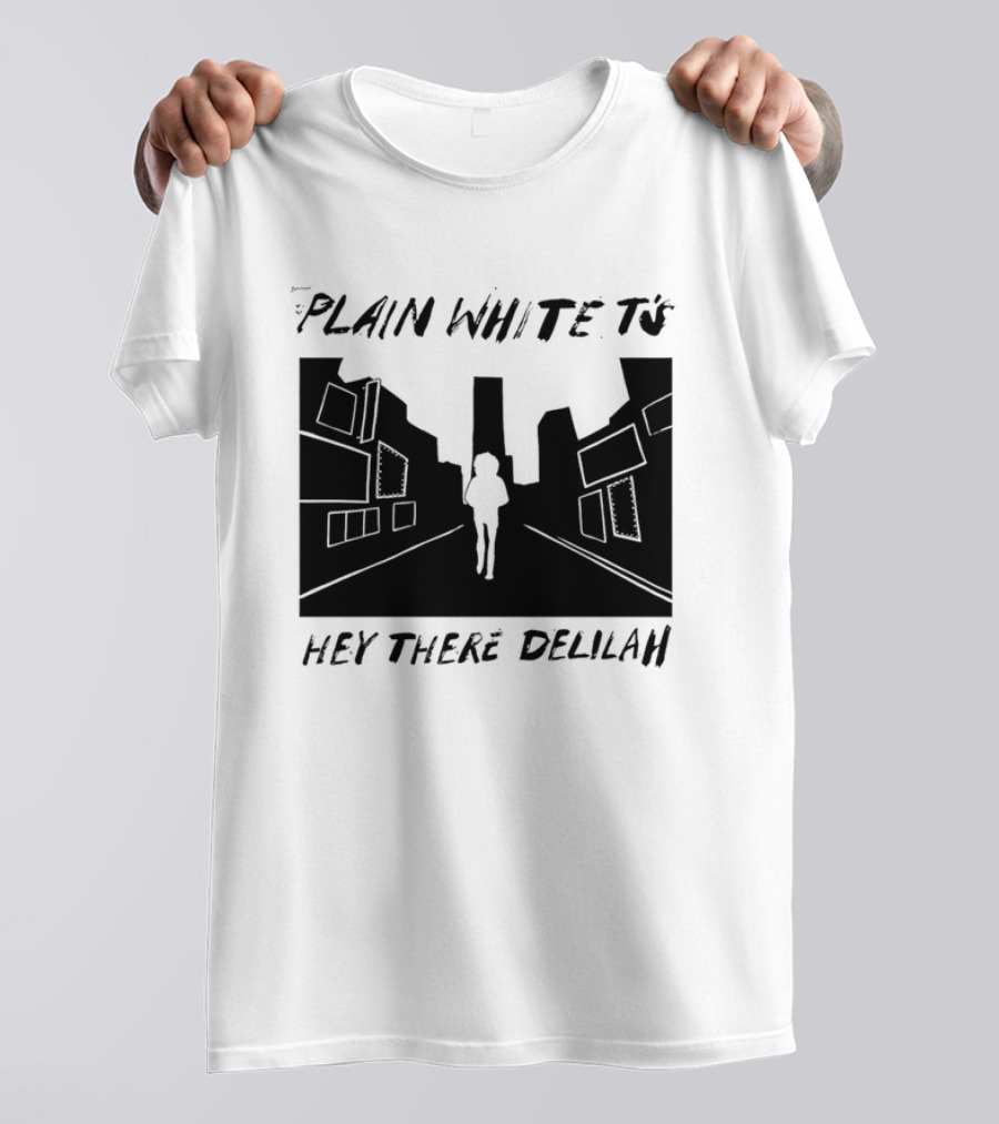 Plain White T's Hey There Delilah City T-Shirt