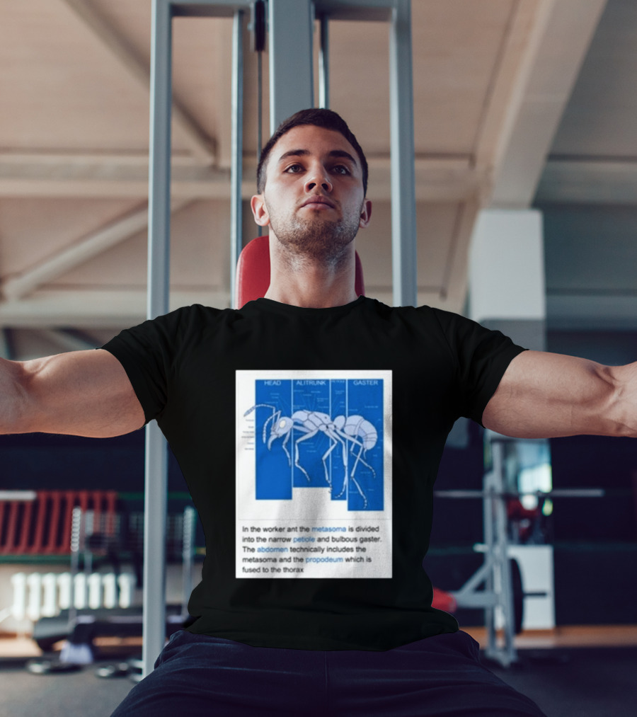 Head Alitrunk Gaster Metasoma Petiole Anatomy Of An Ant T-Shirt