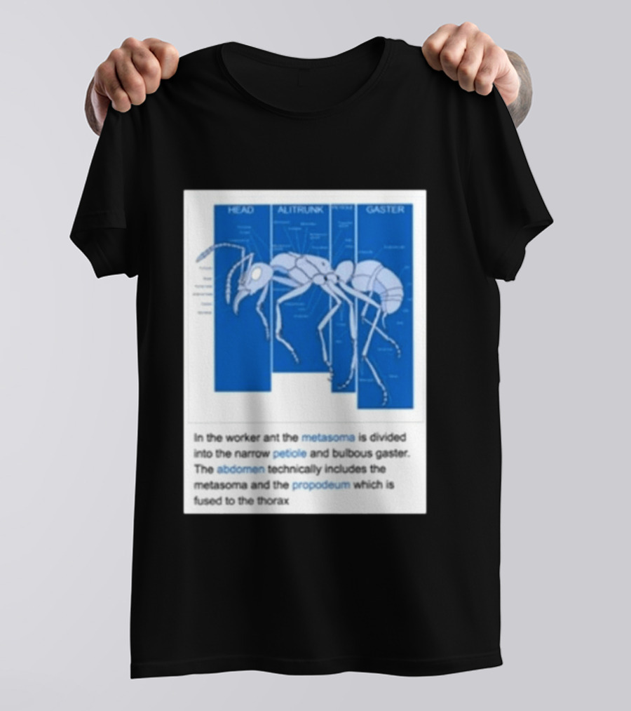 Head Alitrunk Gaster Metasoma Petiole Anatomy Of An Ant T-Shirt