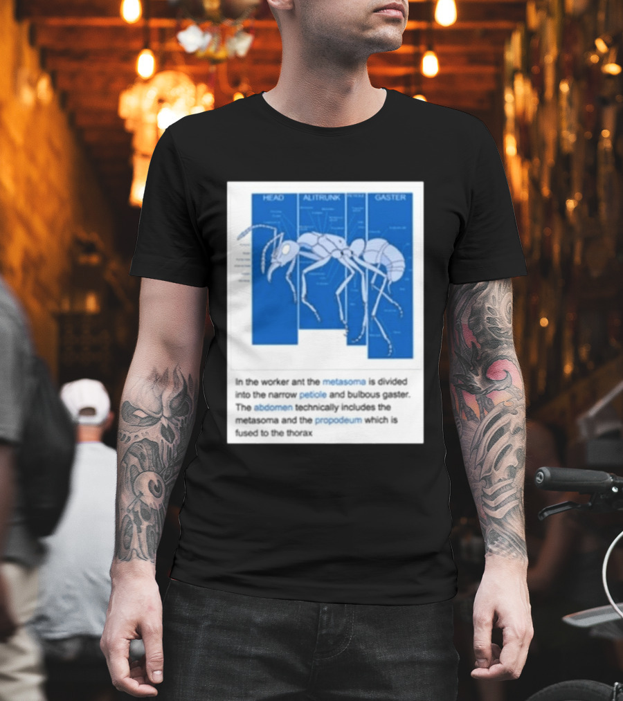 Head Alitrunk Gaster Metasoma Petiole Anatomy Of An Ant T-Shirt