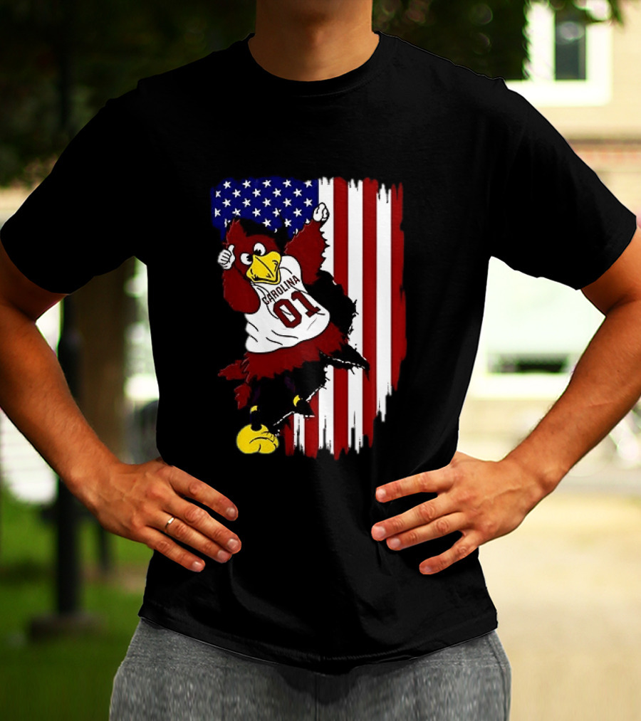 South Carolina Gamecocks Carolina 01 USA Flag We The People T-Shirt