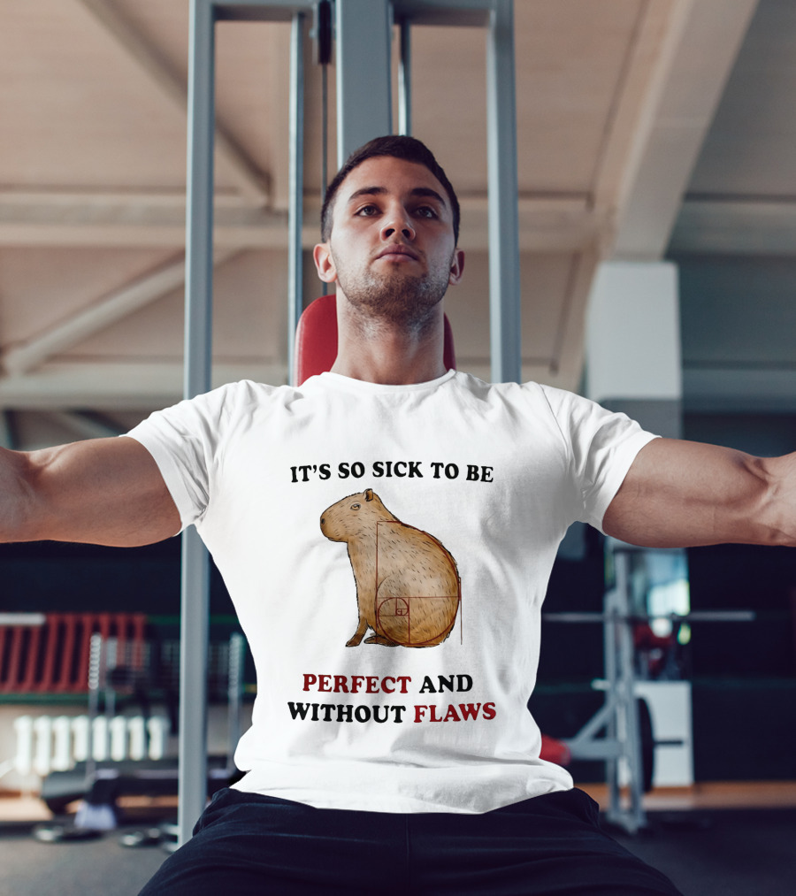 Capybara It's So Sick To Be Perfect And Without Flaws Fibonacci Spiral T-Shirt