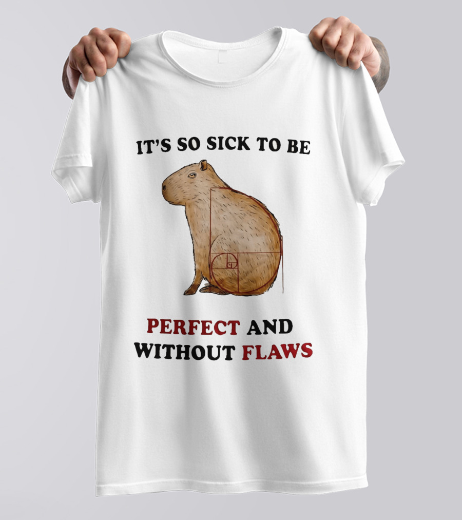 Capybara It's So Sick To Be Perfect And Without Flaws Fibonacci Spiral T-Shirt
