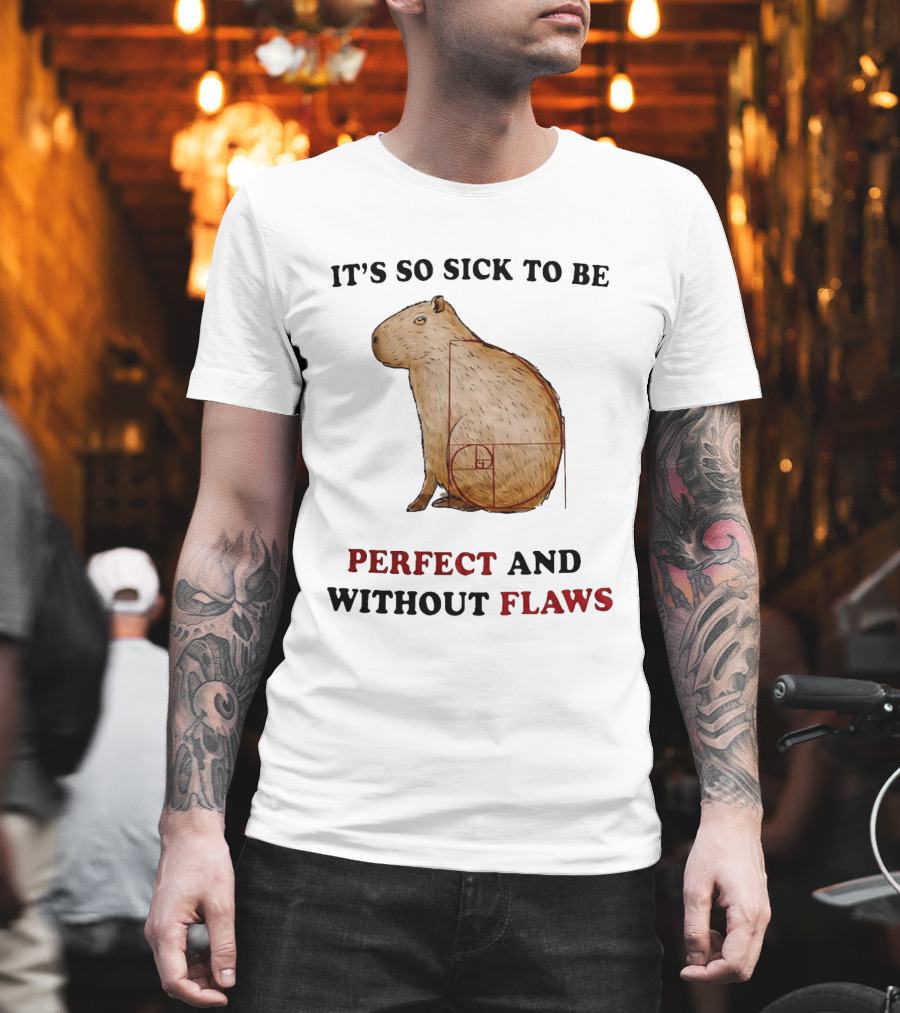 Capybara It's So Sick To Be Perfect And Without Flaws Fibonacci Spiral T-Shirt
