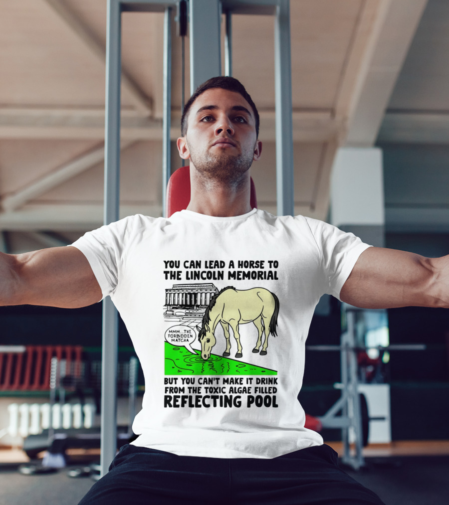 You Can Lead A Horse To The Lincoln Memorial Nnmm This Forbidden Matcha Toxic Algae Filled Reflecting Pool T-Shirt