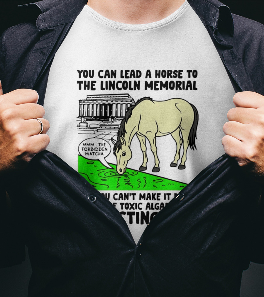 You Can Lead A Horse To The Lincoln Memorial Nnmm This Forbidden Matcha Toxic Algae Filled Reflecting Pool T-Shirt