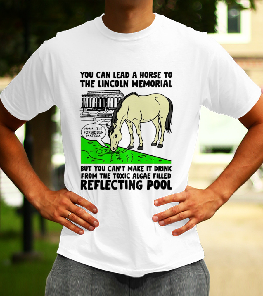You Can Lead A Horse To The Lincoln Memorial Nnmm This Forbidden Matcha Toxic Algae Filled Reflecting Pool T-Shirt