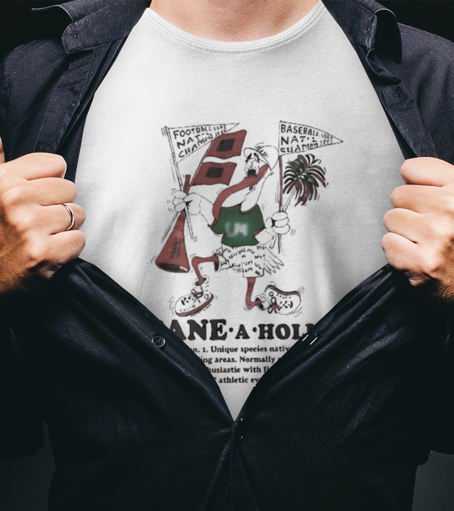 Cane A Holic Noun Passion For Miami Hurricanes Concept T-Shirt