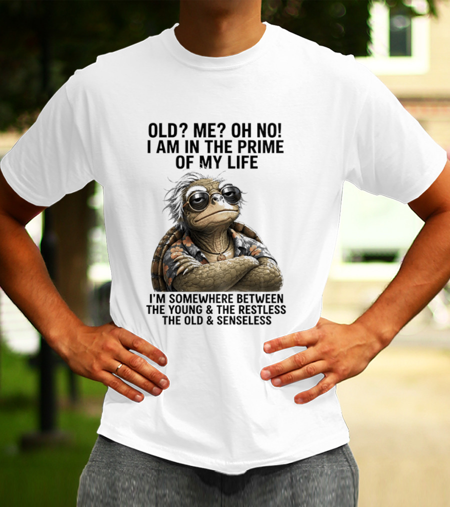 Old Me Oh No I Am In The Prime Of My Life Somewhere Between The Young And The Restless T-Shirt