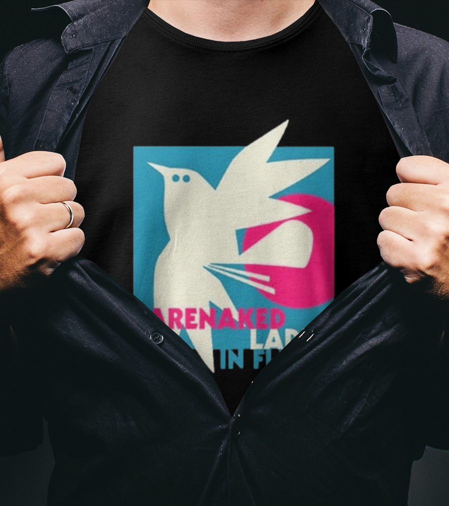 Barenaked Ladies In Flight Bird Tour 2024 Art Vintage Concert T-Shirt