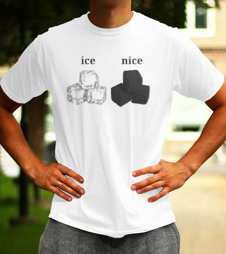 Ice Vs Nice Cubes Playful Word T-Shirt