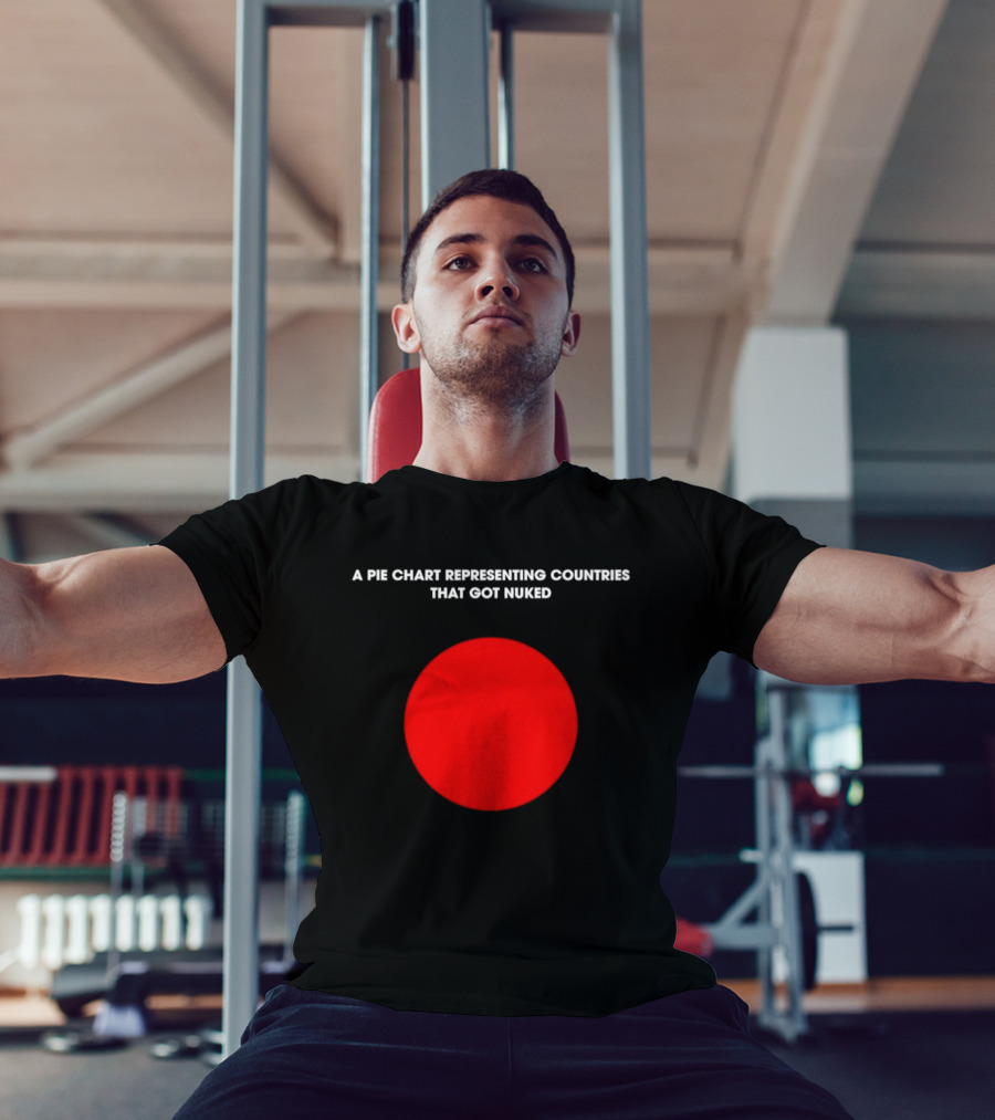 Pie Chart Japan Flag Nuked Countries T-Shirt