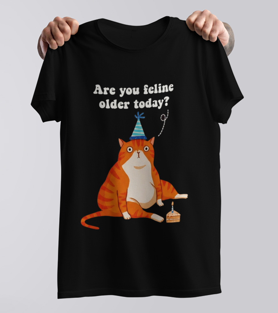 Are You Feline Older Today Birthday Cat With Party Hat And Cake T-Shirt