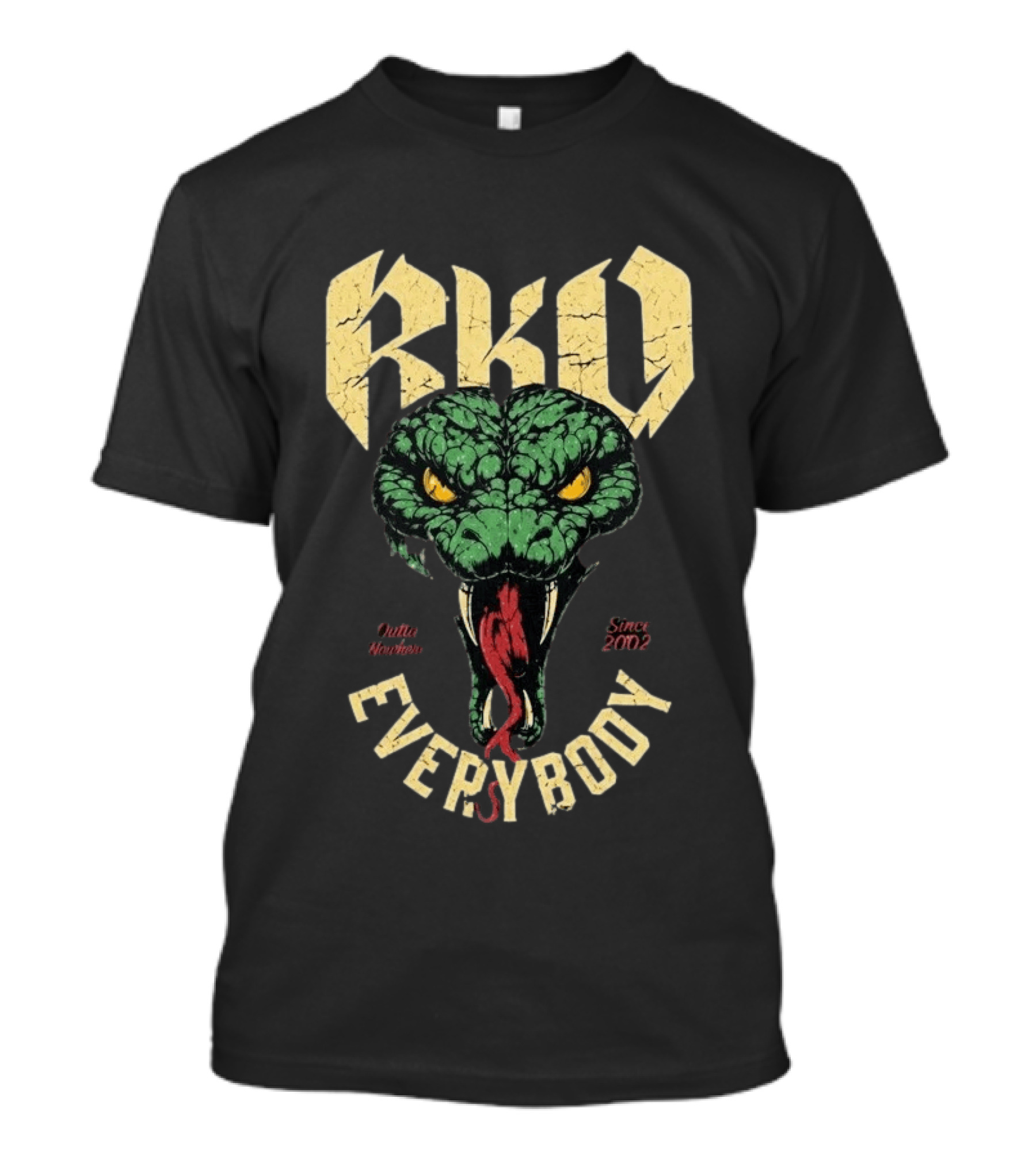 Randy Orton RKO Viper Outta Nowhere Everybody Since 2002 T-Shirt