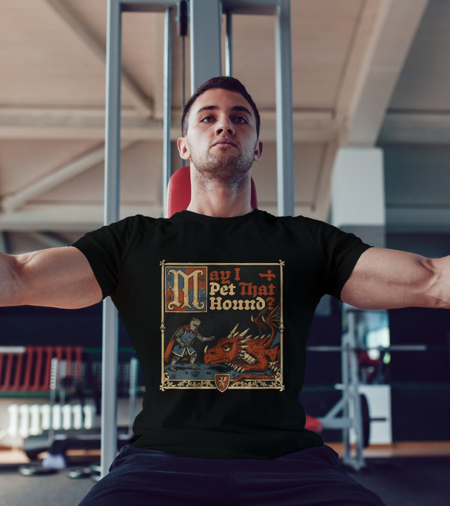 May I Pet That Hound Medieval Knight And Dragon Meme T-Shirt