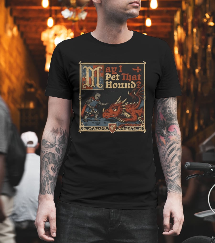 May I Pet That Hound Medieval Knight And Dragon Meme T-Shirt