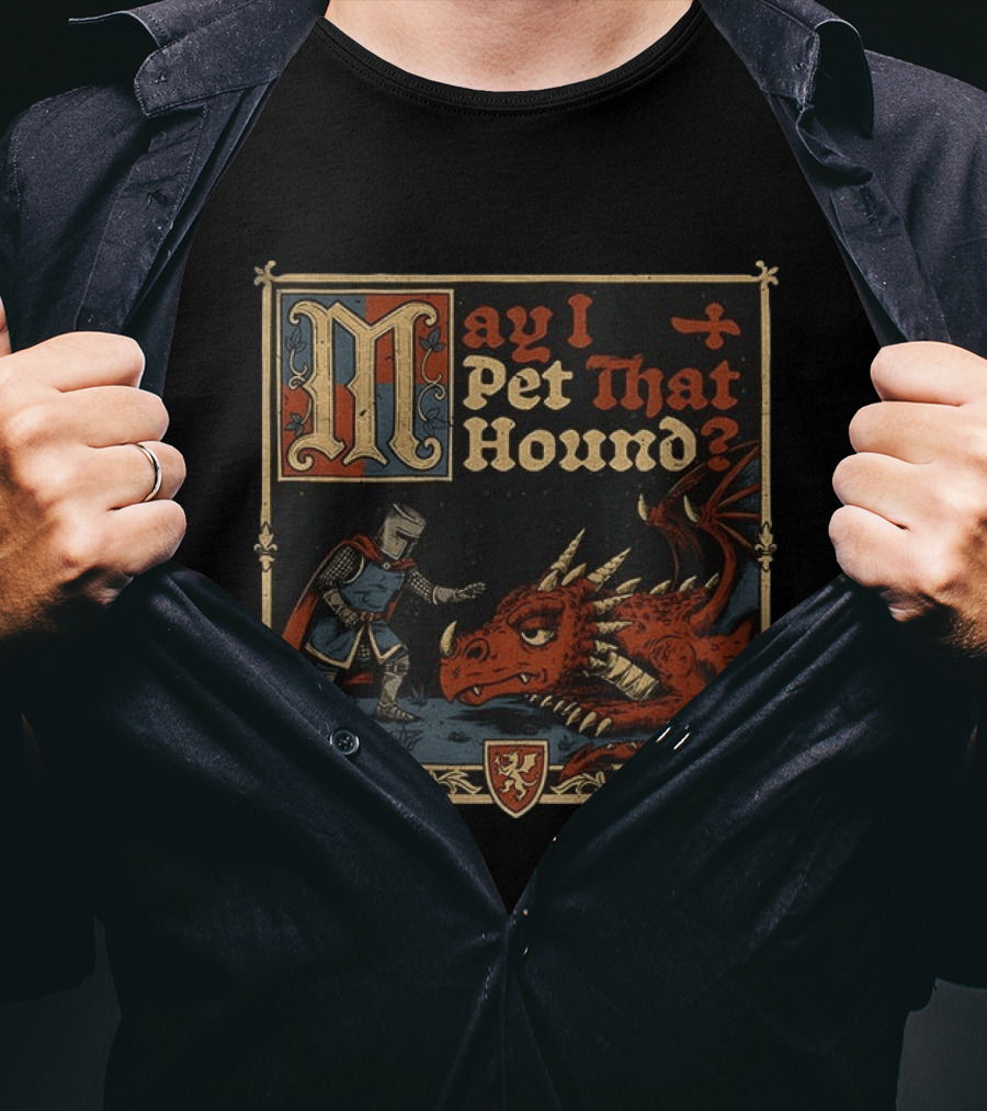 May I Pet That Hound Medieval Knight And Dragon Meme T-Shirt