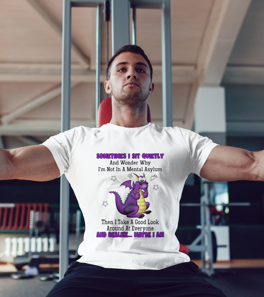 Sometimes I Sit Quietly Wonder Why I'm Not In A Mental Asylum Dragon Realize Maybe I Am T-Shirt