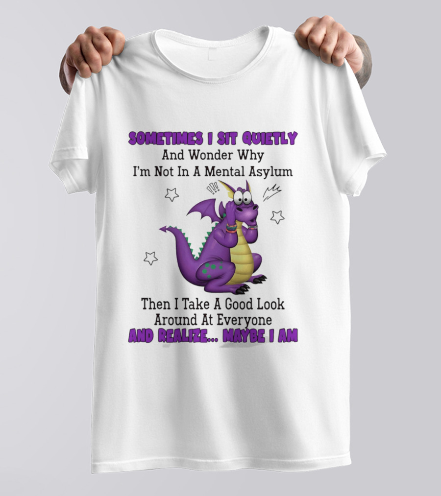 Sometimes I Sit Quietly Wonder Why I'm Not In A Mental Asylum Dragon Realize Maybe I Am T-Shirt