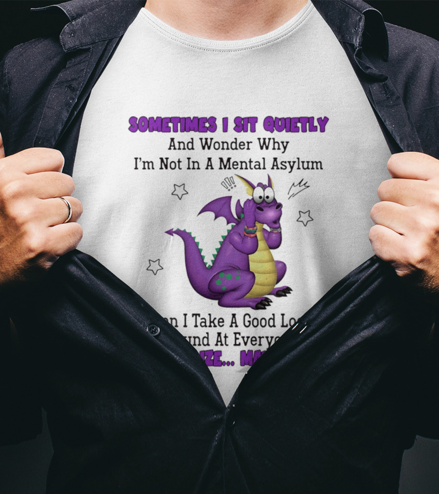 Sometimes I Sit Quietly Wonder Why I'm Not In A Mental Asylum Dragon Realize Maybe I Am T-Shirt