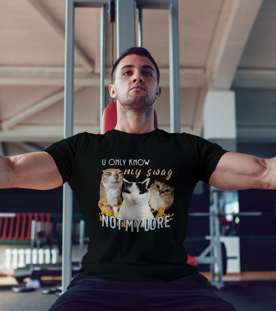 U Only Know My Swag Not My Lore Funny Cat Trio T-Shirt
