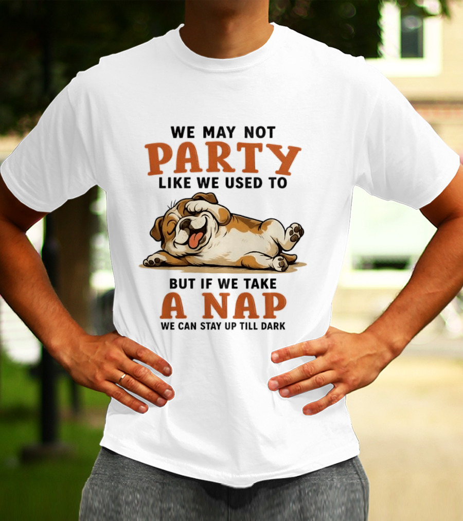 We May Not Party Like We Used To But If We Take A Nap We Can Stay Up Till Dark Cartoon Bulldog Lying Down T-Shirt