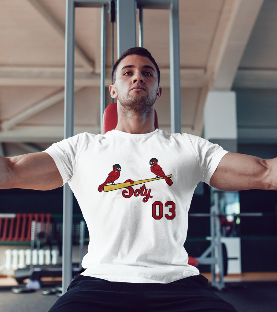 Soty 03 St Louis Cardinals Cartoon Emo Birds On Baseball Bat T-Shirt