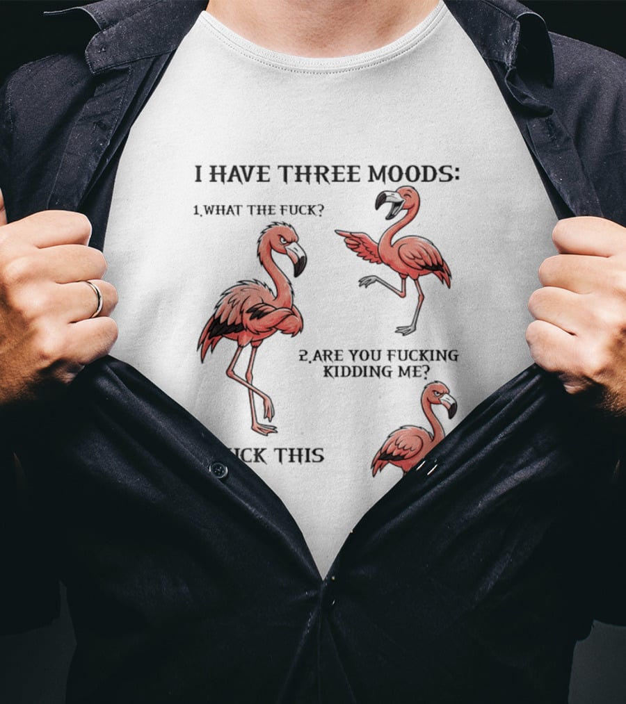I Have Three Moods What The Fuck Are You Fucking Kidding Me Fuck This Flamingo T-Shirt