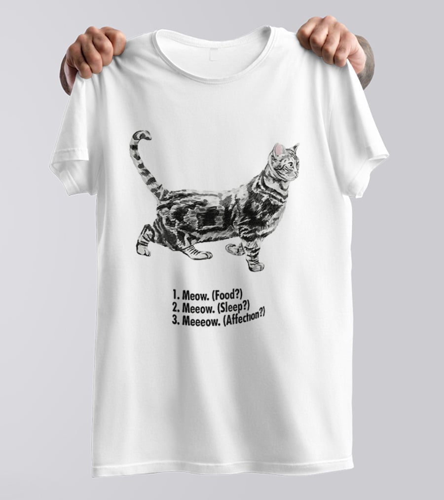 Meow Food Meeow Sleep Meeeow Affection Cat Lovers Humor T-Shirt
