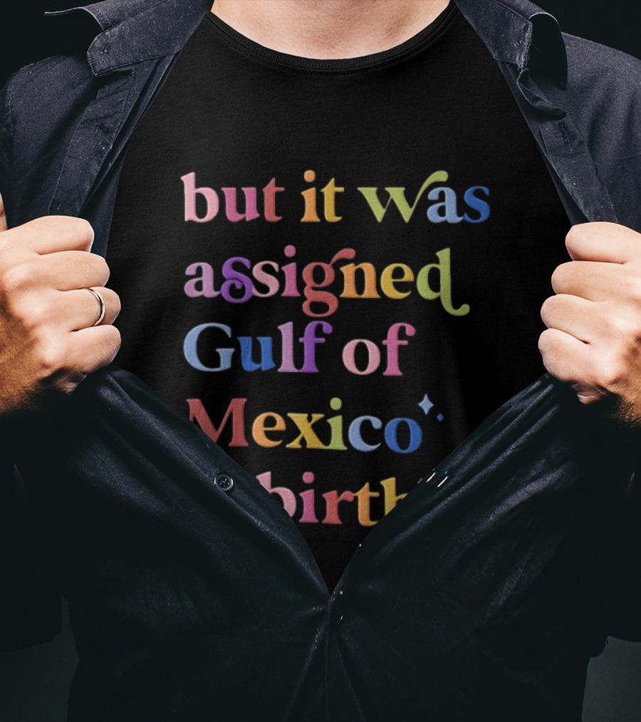 But It Was Assigned Gulf Of Mexico At Birth Rainbow T-Shirt
