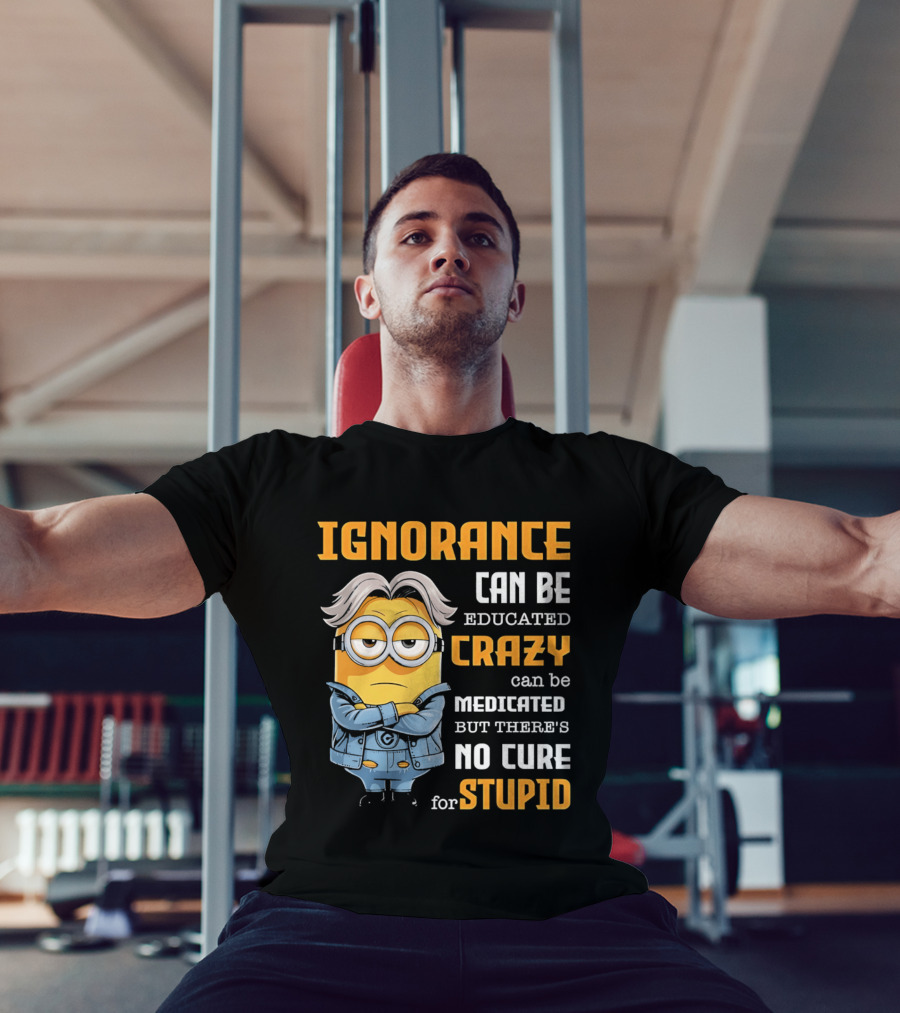 Ignorance Can Be Educated Crazy Can Be Medicated No Cure For Stupid Minion T-Shirt