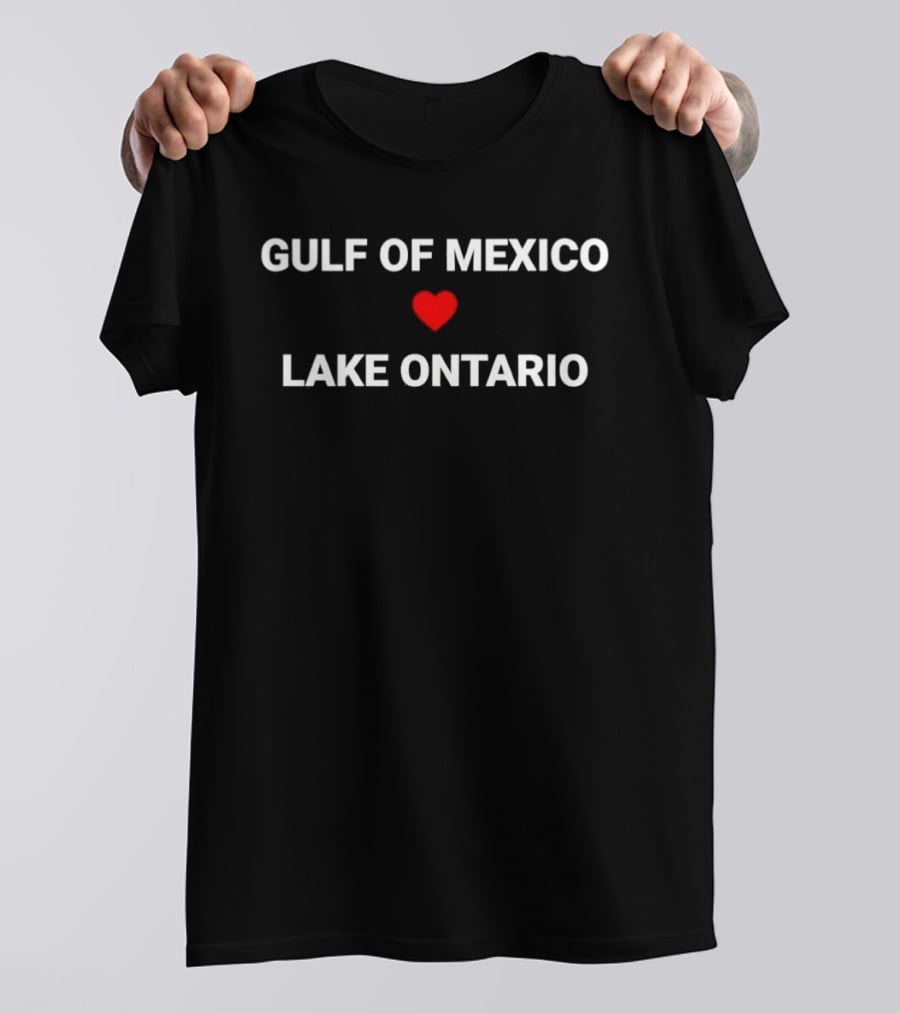 Gulf Of Mexico Heart Lake Ontario Resist T-Shirt
